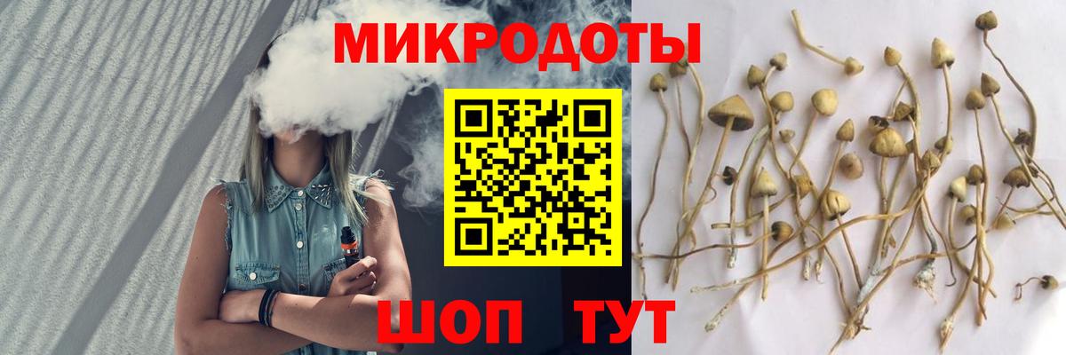 Псилоцибиновые грибы Cubensis  Вход с VPN  Лангепас 